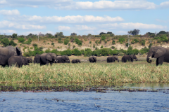 Wildlife sightings from the boat